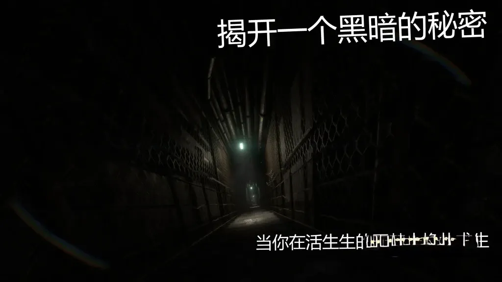 《失落的记忆：复刻版》v1.9.102，高画质第三人称动作生存心理恐怖游戏